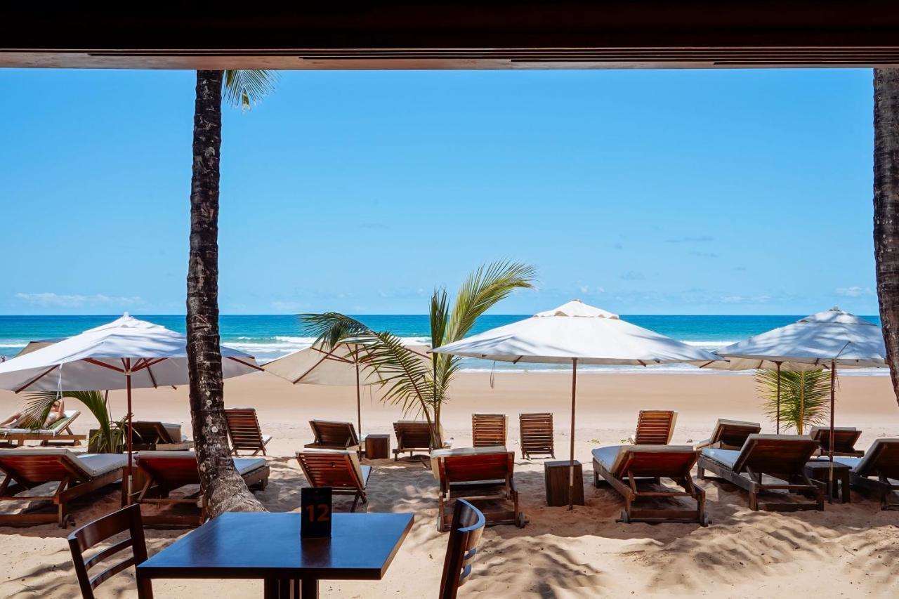 Dreamland Bungalows - Taipu De Fora - Barra Grande Екстериор снимка