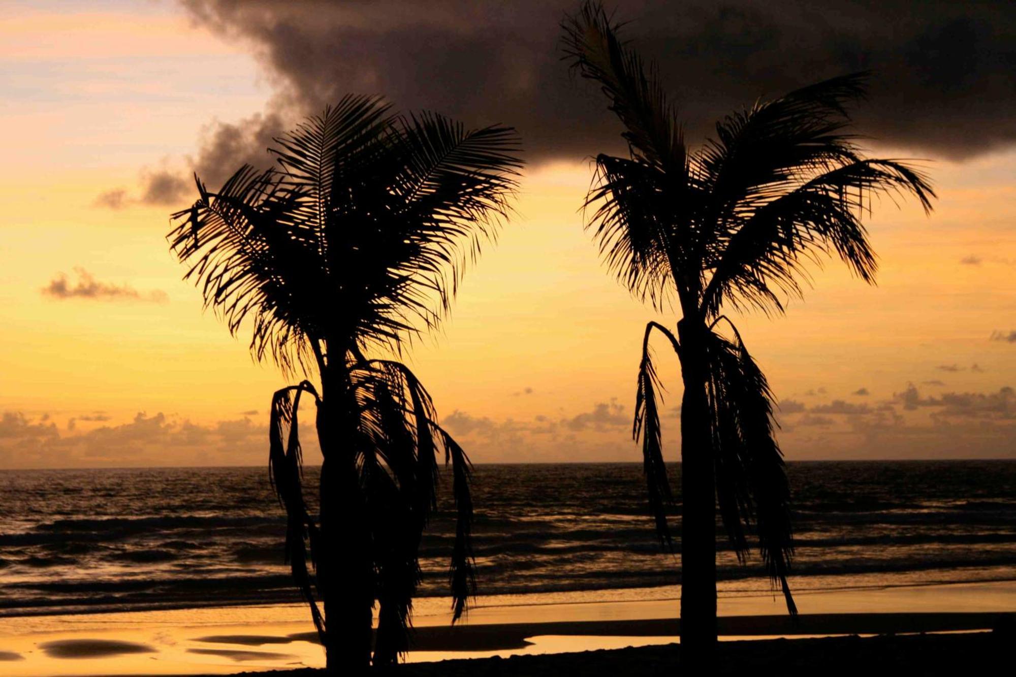 Dreamland Bungalows - Taipu De Fora - Barra Grande Екстериор снимка